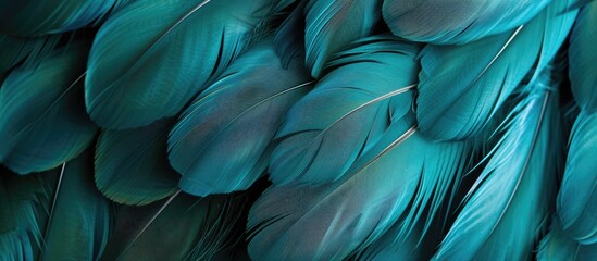 Detailed view of the textured turquoise feathers of a blue bird, showcasing the intricate patterns and shades of blue.