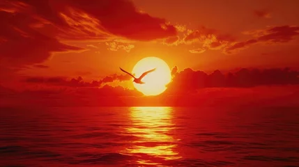 Deurstickers A fiery red and orange sunset over the sea, with the dramatic silhouette of a bird in flight, emphasizing the intensity of the sunset. 8k © Muhammad