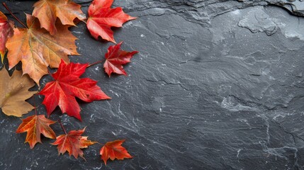 Autumn maple leaves on dark stone