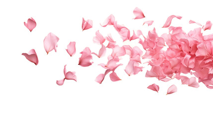 natural beautiful flower Realistic Portrait Isolated On Transparent Background Or PNG Background.