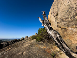 Paarl Mountain, Western Cape, South Africa