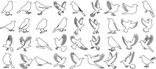 Bird sketch collection, flying, perching poses of birds. Ideal for logos, illustrations, creative projects. Black and white vector graphic design. Wildlife, nature themed artwork