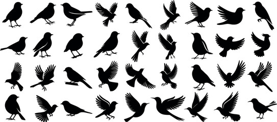 bird silhouette vector illustration, perfect for logo design, art projects, and graphic design. Diverse positions, flying, perching