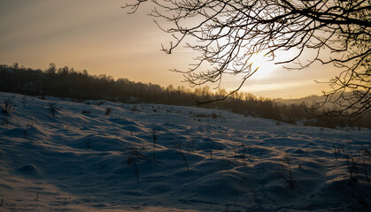 Fototapeta na wymiar Snow-covered field at sunrise with trees in the background