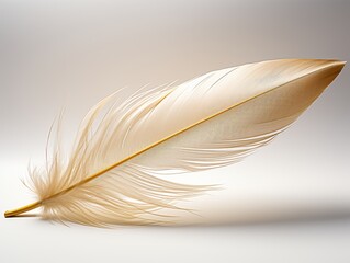 Vintage Quill Feather