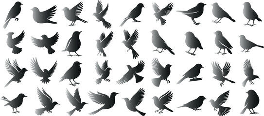 bird silhouette vector illustration, diverse poses of birds, flying, perching, ideal for vector graphics, wildlife illustrations, ornamental designs