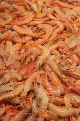 Prawns caught on the day and freshly unloaded from the boat, for sale in the fishmonger of a market in a city on the Spanish coast. Prawns from Huelva, Spain