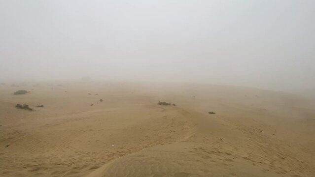 Jaisalmer, Rajasthan, India - 12 January 2024: beautiful view of Indian desert of Jaisalmer. Dunes of Thar Desert. Sam Sand dunes, Rajasthan, India.