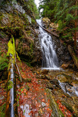 Obraz premium Waterfalls, cascades, Jeseníky mountains, water, forests, rocks, trees, mountain stream