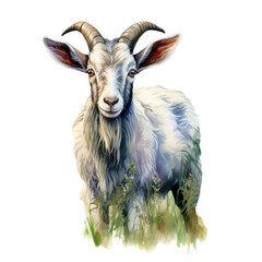 Illustration of a goat with prominent horns and a serene expression, isolated on transparent background. - obrazy, fototapety, plakaty