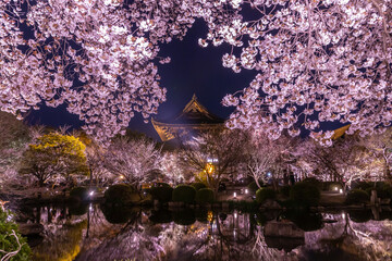 夜桜