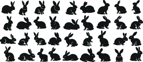 Foto op Aluminium Rabbit silhouettes, various poses of rabbit, bunnt vector illustration, hare on white background, ideal rabbit, bunny for logo design, Easter themes, decorations © Arafat