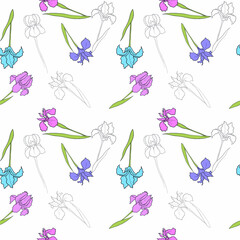 iris flower drawn in vector, postcard with a delicate flower. pattern with flowers, print for clothing and fabric