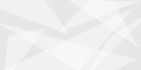 Abstract elegant background white and gray line texture. Abstract white and grey geometric overlapping rectangle pattern abstract futuristic background design. data concept. vector illustration..