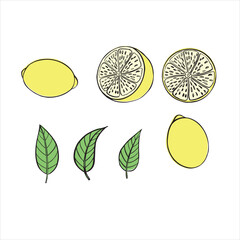 lemon vector illustration. lemon picture for a postcard. Citrus fruit for tea
