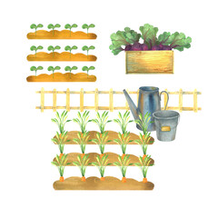 a set of watercolor illustrations on a country theme, garden pictures, postcards for farmers, harvest, vegetables