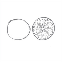 lemon vector illustration. lemon picture for a postcard. Citrus fruit for tea
