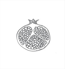 vector illustration with pomegranate. print for fabric with fruits, pattern for paper with fruits