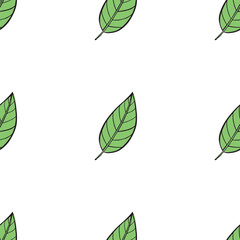 vector illustration of twigs with leaves, pattern with green spring leaves
