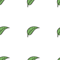 vector illustration of twigs with leaves, pattern with green spring leaves
