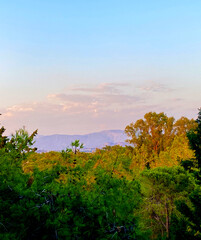 Fototapeta premium Morning enchanting landscape in pastel colors