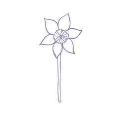 illustration with daffodil drawn in vector, spring flower, card for Mother's Day and Easter,
