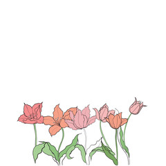 illustration of a tulip drawn in vector, spring bulbous flower.