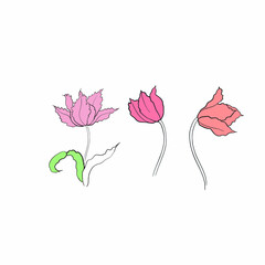 tulips drawn in vector, spring flower. Mother's Day card