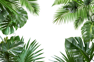 Fototapeta na wymiar Tropical frame with exotic jungle plants, palm leaves, and space for text, isolated on white or transparent background 