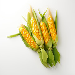 corn on white background 