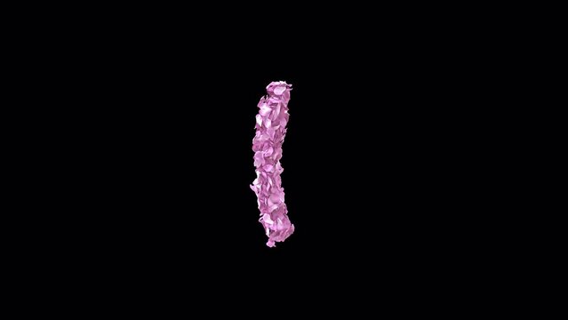 Animated Sakura Petals text letters typeface with alpha channel the character open bracket 