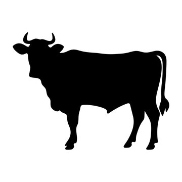 Cow silhouette Cute cow silhouette icon vector illustration isolated