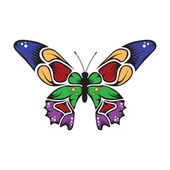 Butterfly icon vector