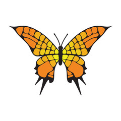 Butterfly icon vector