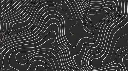 Abstract Black and White Topographic Contour Lines Art: Modern Minimalist Design