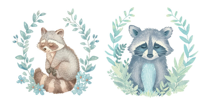 cute raccoon watercolour vector illustration © Finkha
