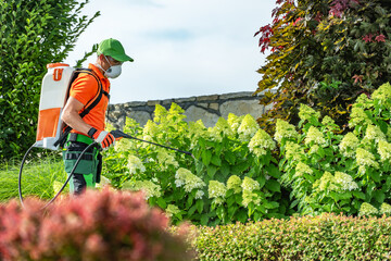 Plants Spraying Insecticide Work in a Garden