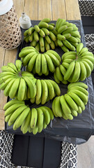Bananen frisch geerntet