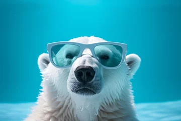 Fototapeten a polar bear wearing sunglasses © Alex
