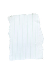 Obraz premium Ripped Paper note memo grid vintage scrapbook high quality isolated 