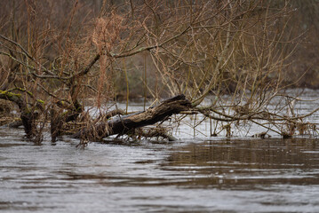 FLOOD - Flooded river valley and meadows after the rains