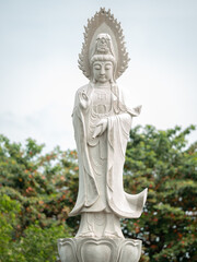Obraz premium Goddess of mercy Guan Yin or Kuam Im or Avalokitesvara that represent loving and kindness 