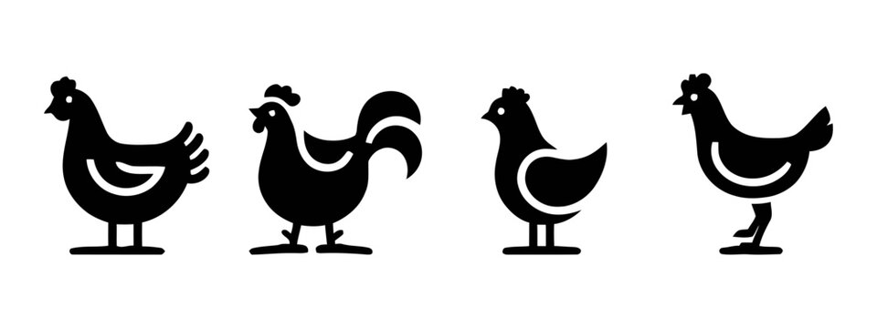 Chicken birds set silhouettes. Clip art on white background
