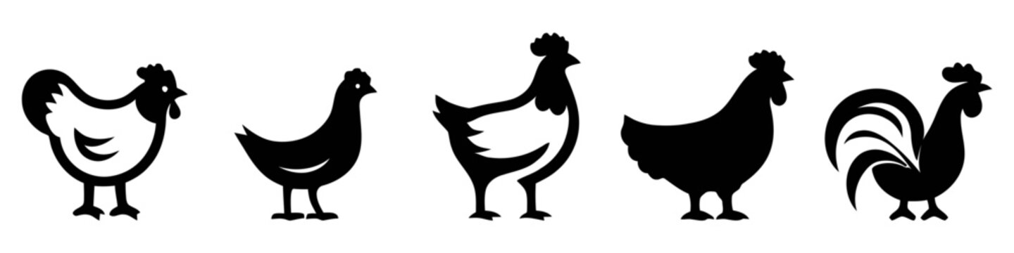 Chicken birds set silhouettes. Clip art on white background