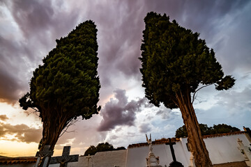 Pair of cypresses in Alhambra cemetery