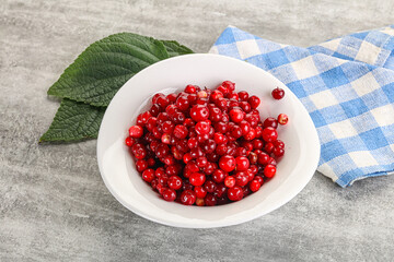 Ripe sweet wild organic cowberry