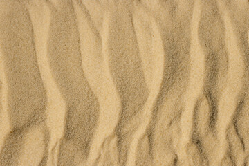 Coastal Vibes: Exposed Aggregate Sandwash Texture for Organic Designs