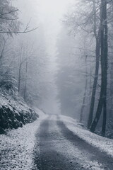 snowy road in switzerland