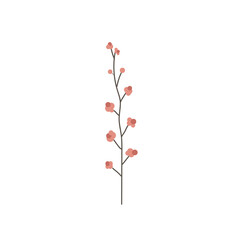 branch of a flower
