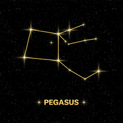 Pegasus constellation icon. Starry sky. Flat style. Vector illustration © Svitlana